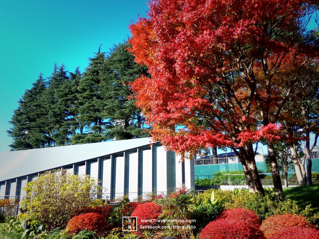 P_20151205_132509_SRES_1