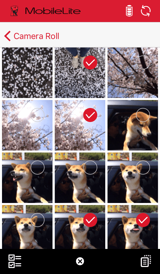 Photo 16-4-2016, 9 17 24 PM